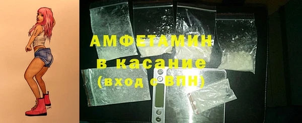 прущие грибы Магадан