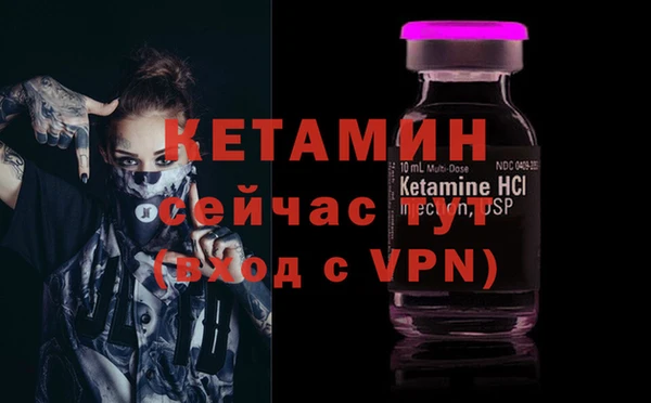 прущие грибы Магадан