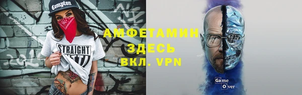 прущие грибы Магадан